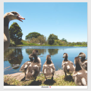 Ägyptische Gänse Aufkleber