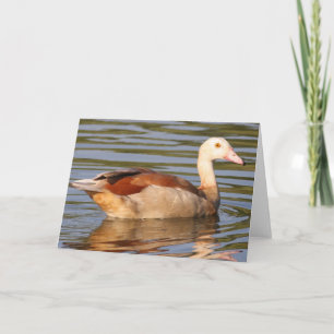 Ägyptische Gänsekarte Karte