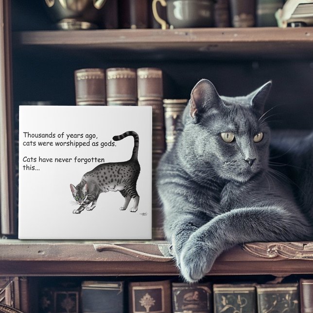 Ägyptische Gray Tabby Cat Fliese (Von Creator hochgeladen)