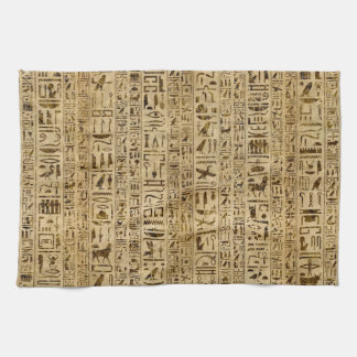 Ägyptische Hieroglyphen auf Papyrus Geschirrtuch