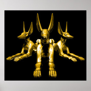 Ägyptische Jackals Poster