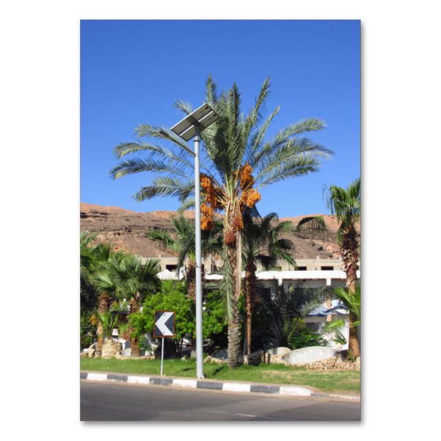 Ägyptische Palmen Tischnummer (Vorderseite)