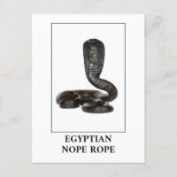 Ägyptischer Nope - Cobra-Schlangen-Gefahr