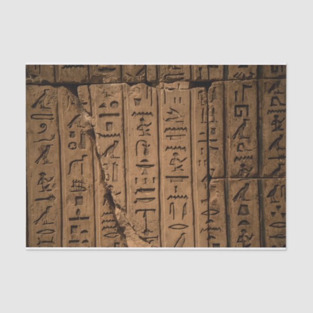 Ägyptisches Hieroglyphics-Gewebepapier Seidenpapier (Vorderseite)