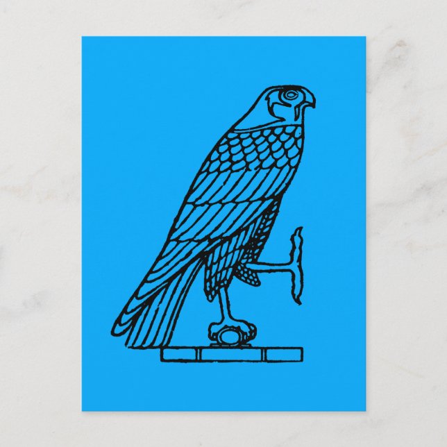 Ägyptisches Symbol: Falcon Postkarte (Vorderseite)
