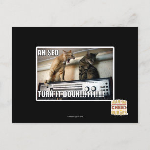 Ah Sed Dreh es ab! Postkarte