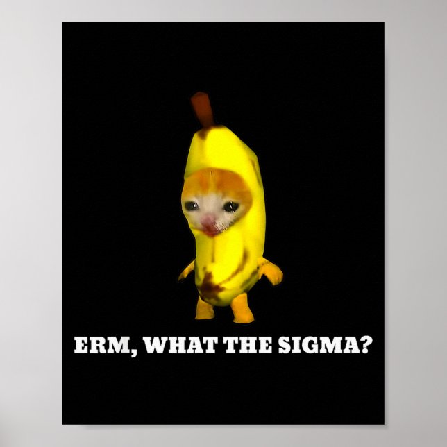 Äh, Was Sigma_ Katzen-Meme Männer Frauen Mädchen K Poster (Vorne)