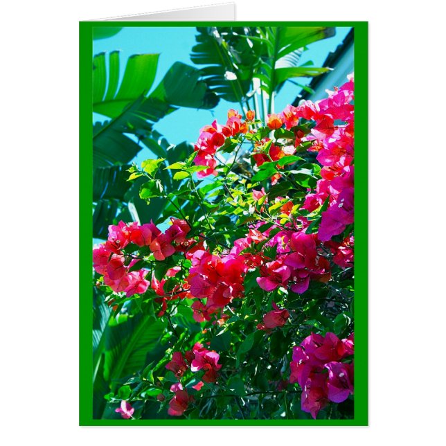 Ahh… Florida (Vorne)