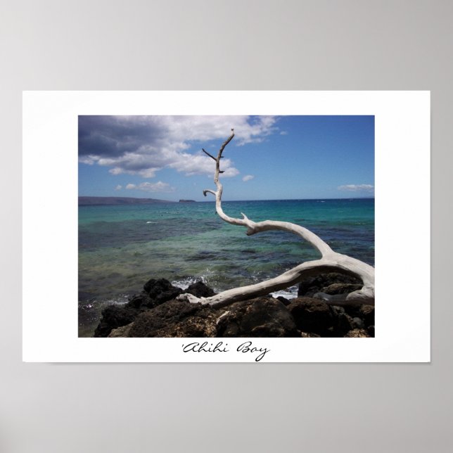 Ahihi Bay Poster (Vorne)
