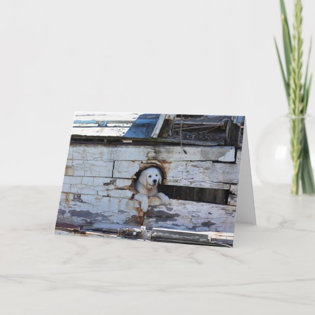 Ahoi kameradschaftliche Karte (Vorderseite)