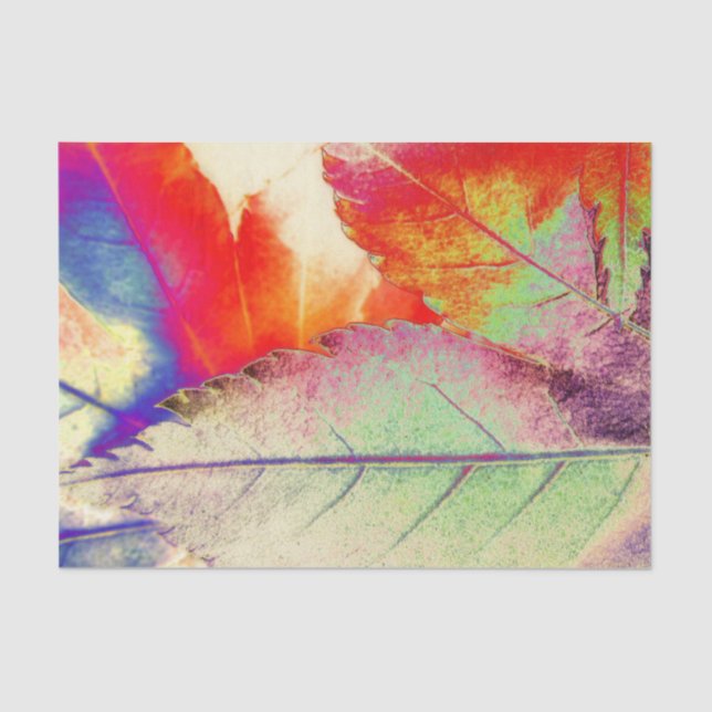 Ahorn abstrakt seidenpapier (Vorderseite)