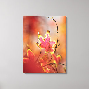 Ahorn-Blätter Canvas drucken Leinwanddruck