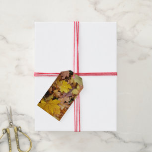 Ahorn-Blätter Gelbe Herbstnatur Geschenkanhänger