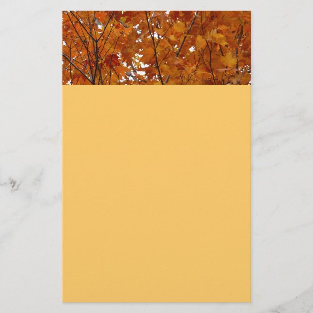 Ahorn-Blätter in den Herbstzweigen Briefpapier (Vorderseite)