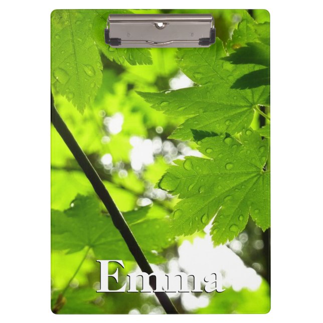 Ahorn-Blätter mit Regentropfen Klemmbrett (Vorderseite)