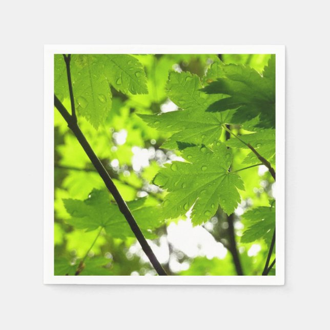 Ahorn-Blätter mit Regentropfen Serviette (Vorderseite)