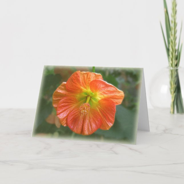 Ahorn-Blüte Karte (Vorderseite)