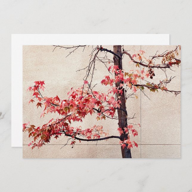 Ahorn Feiertagskarte (Vorne/Hinten)