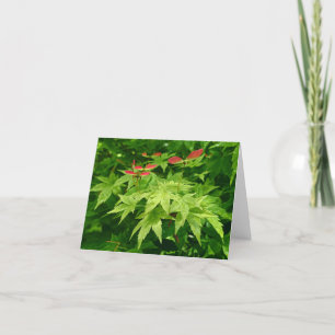 Ahorn im Frühling Feiertagskarte