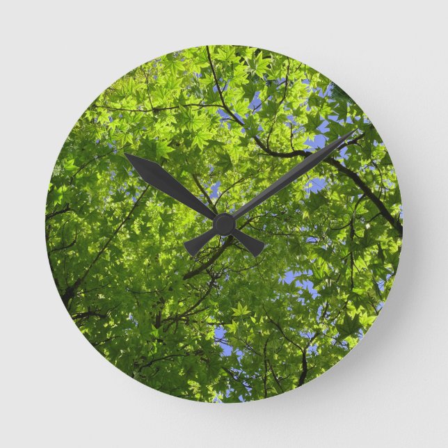 Ahorn im Frühling  Runde Wanduhr (Vorderseite)