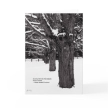 Ahorn-Linie: Emerson-Zitat