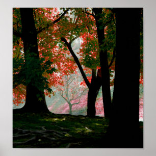 Ahorn Poster
