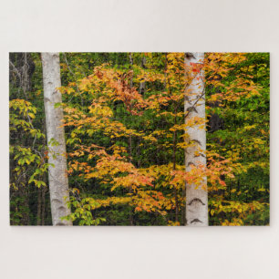 Ahorn & Weißbirke White Mountains, NH Puzzle