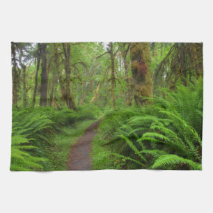 Ahornbahn, Farne und Moos bedeckt Handtuch