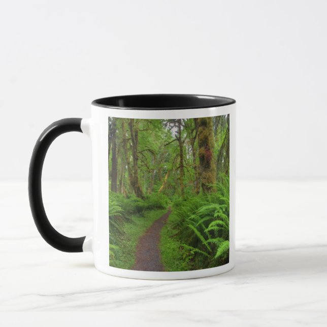 Ahornbahn, Farne und Moos bedeckt Tasse (Links)