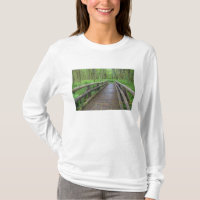 Ahornbahn mit Holzbrücke, Farne und