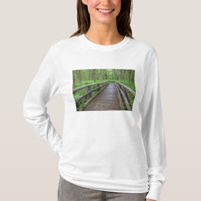 Ahornbahn mit Holzbrücke, Farne und T-Shirt (Vorderseite)