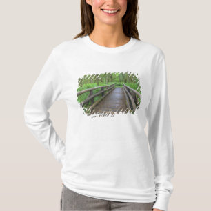 Ahornbahn mit Holzbrücke, Farne und T-Shirt