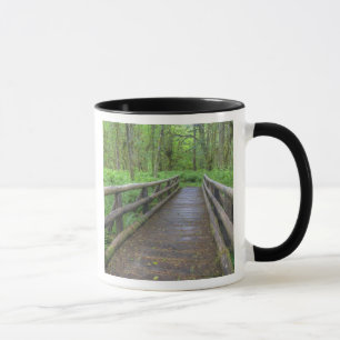 Ahornbahn mit Holzbrücke, Farne und Tasse