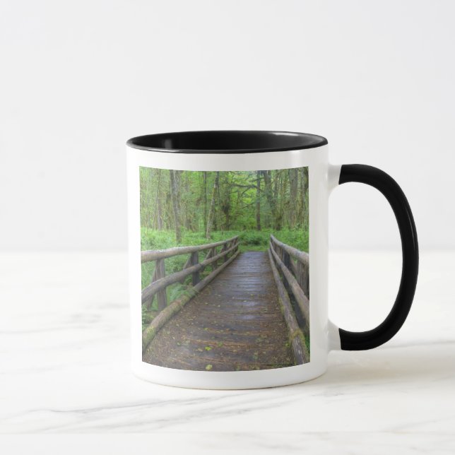 Ahornbahn mit Holzbrücke, Farne und Tasse (Rechts)
