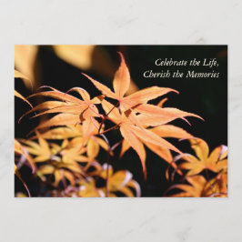 Ahornbaum 1: Feier zum Lebensdenkmal Einladung