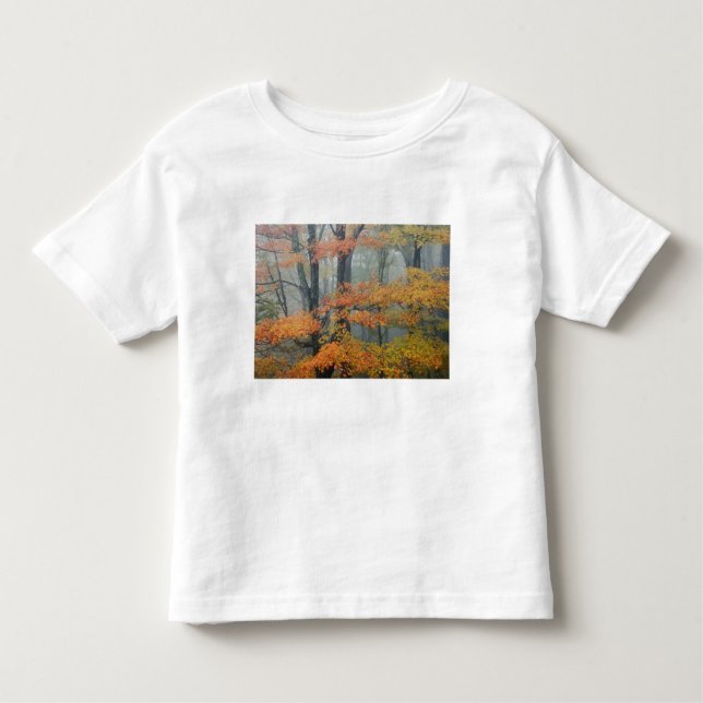 Ahornbaum, Acer rubrum, Portrait in Nebel Kleinkind T-shirt (Vorderseite)