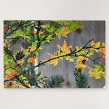 Ahornbaum-Herbstfarben