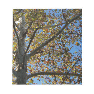 Ahornbaum im Herbst gegen einen blauen Himmel Notizblock