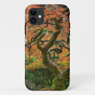Ahornbaum im japanischen Garten im Herbst iPhone 11 Hülle