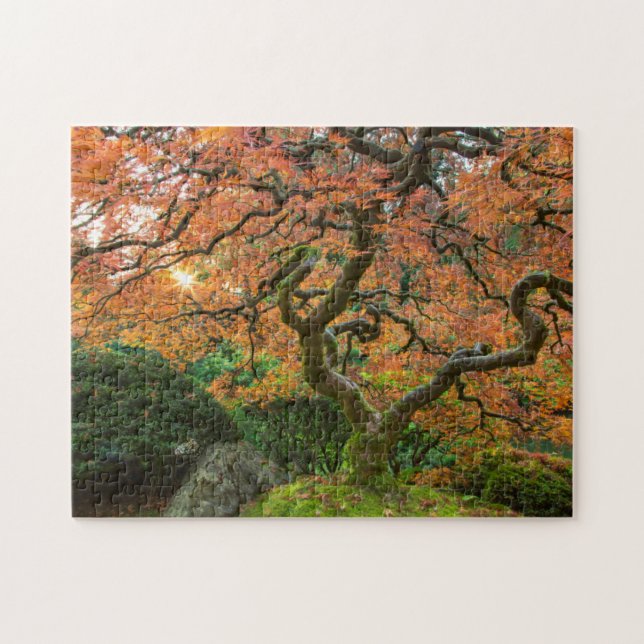 Ahornbaum im japanischen Garten im Herbst Puzzle (Horizontal)