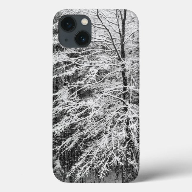 Ahornbaum mit Schnee Case-Mate iPhone Hülle (Rückseite)