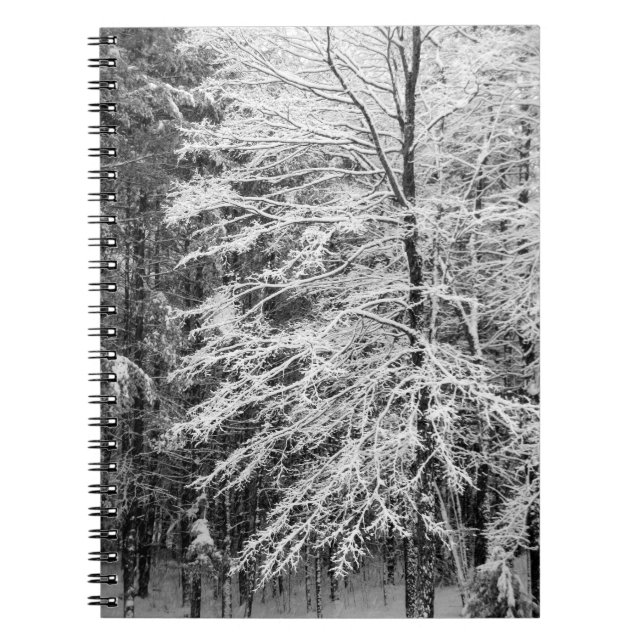 Ahornbaum mit Schnee Notizblock (Vorderseite)