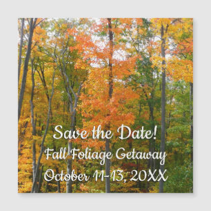 Ahornbäume Herbst Natur Save the Date Magnetkarte