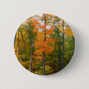 Ahornbäume im Herbst - Naturfotografie Button