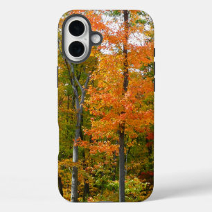 Ahornbäume im Herbst - Naturfotografie iPhone 16 Plus Hülle