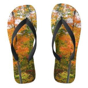 Ahornbäume im Herbst Naturfotografie Flip Flops