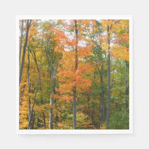 Ahornbäume im Herbst - Naturfotografie Serviette