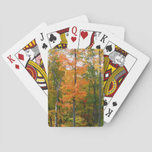 Ahornbäume im Herbst Naturfotografie Spielkarten