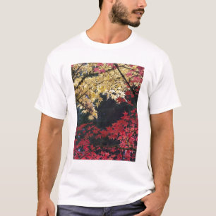 Ahornbäume im Herbst T-Shirt