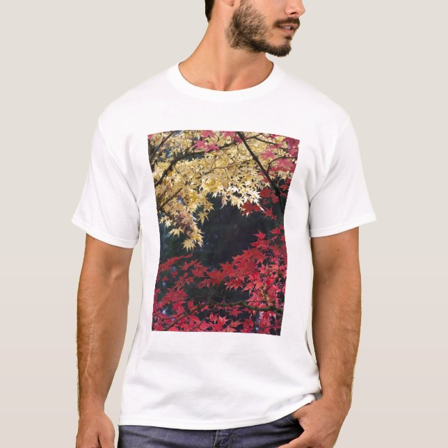 Ahornbäume im Herbst T-Shirt (Vorderseite)